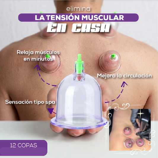 Juego De Ventosas Al Vacio.